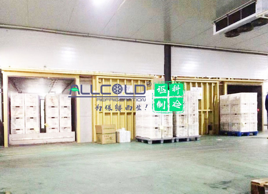 真空预冷机-广东讴科冷链科技有限公司