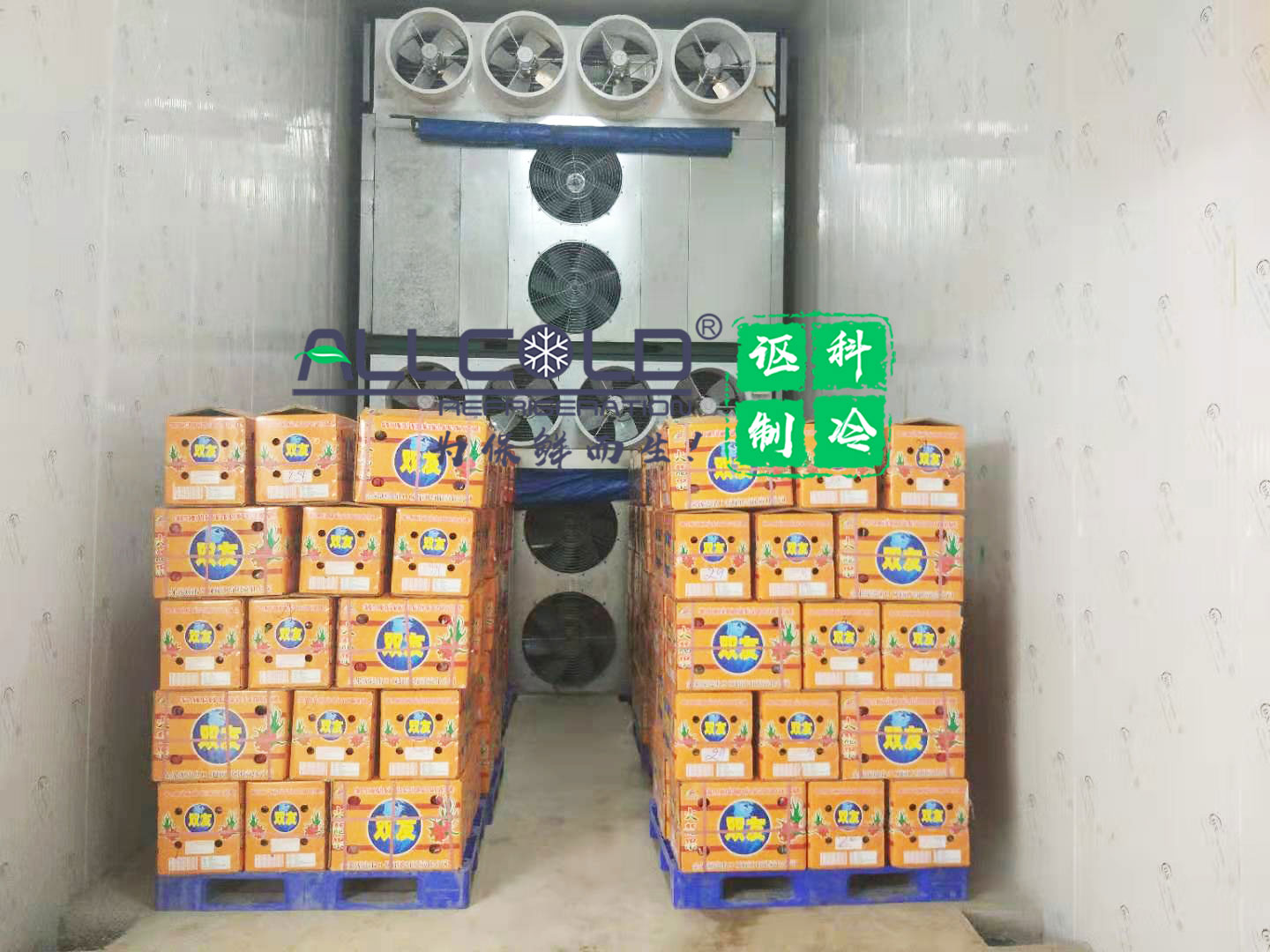 压差预冷催熟一体库